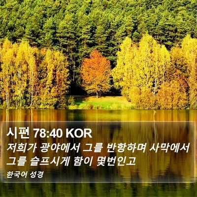 시편 78:40 KOR Bible Verse Image