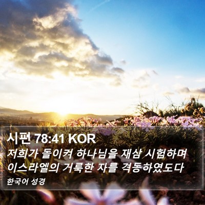 시편 78:41 KOR Bible Verse Image