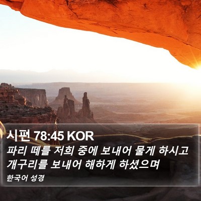 시편 78:45 KOR Bible Verse Image