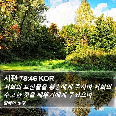 시편 78:46 KOR Bible Verse Image