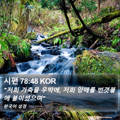 시편 78:48 KOR Bible Verse Image