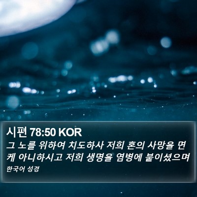 시편 78:50 KOR Bible Verse Image