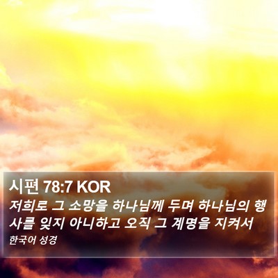 시편 78:7 KOR Bible Verse Image