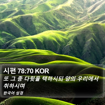시편 78:70 KOR Bible Verse Image