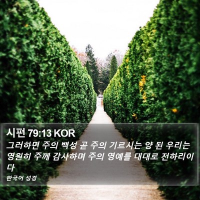 시편 79:13 KOR Bible Verse Image