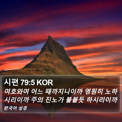시편 79:5 KOR Bible Verse Image