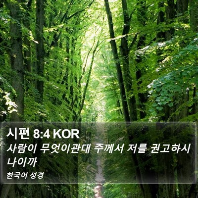 시편 8:4 KOR Bible Verse Image
