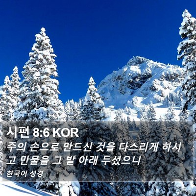 시편 8:6 KOR Bible Verse Image