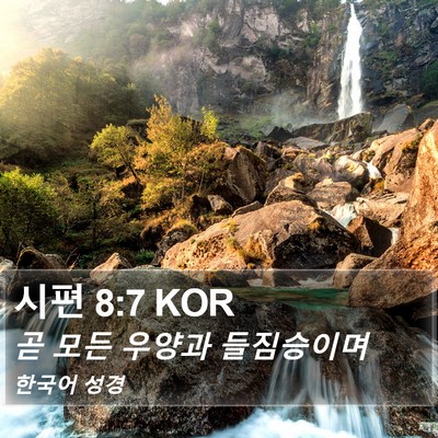 시편 8:7 KOR Bible Verse Image