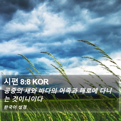 시편 8:8 KOR Bible Verse Image