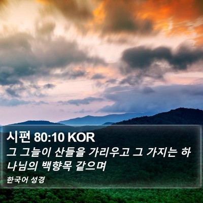 시편 80:10 KOR Bible Verse Image