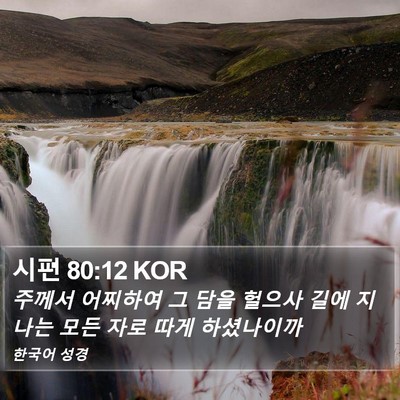 시편 80:12 KOR Bible Verse Image