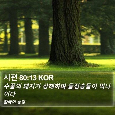 시편 80:13 KOR Bible Verse Image