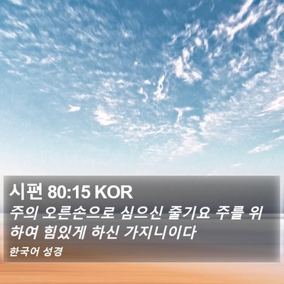 시편 80:15 KOR Bible Verse Image