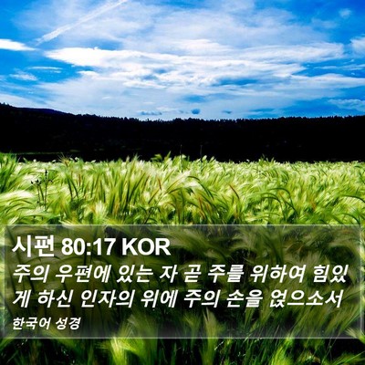 시편 80:17 KOR Bible Verse Image