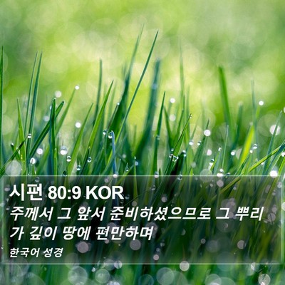시편 80:9 KOR Bible Verse Image
