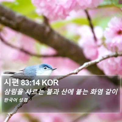 시편 83:14 KOR Bible Verse Image