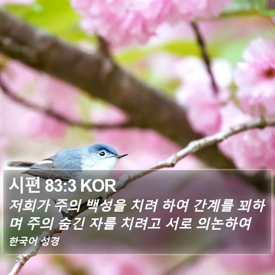 시편 83:3 KOR Bible Verse Image