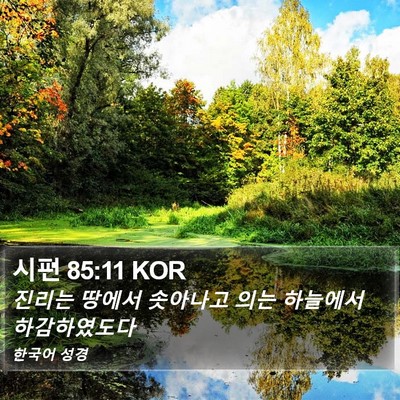 시편 85:11 KOR Bible Verse Image