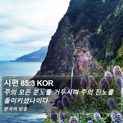 시편 85:3 KOR Bible Verse Image