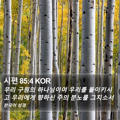 시편 85:4 KOR Bible Verse Image