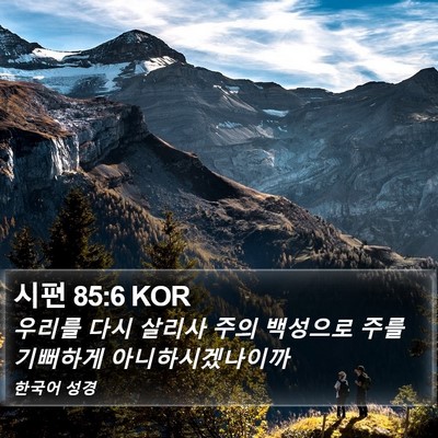 시편 85:6 KOR Bible Verse Image