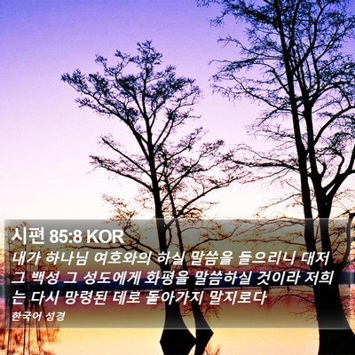 시편 85:8 KOR Bible Verse Image