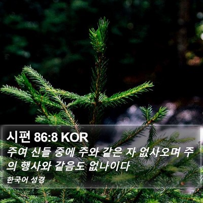 시편 86:8 KOR Bible Verse Image