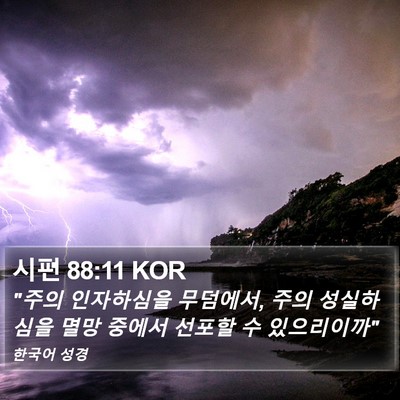 시편 88:11 KOR Bible Verse Image