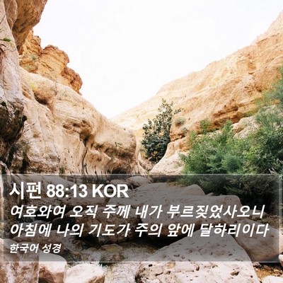 시편 88:13 KOR Bible Verse Image