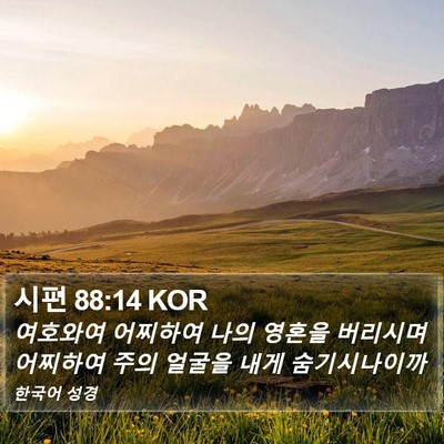 시편 88:14 KOR Bible Verse Image