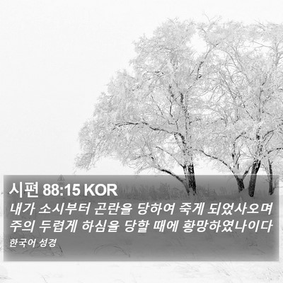 시편 88:15 KOR Bible Verse Image