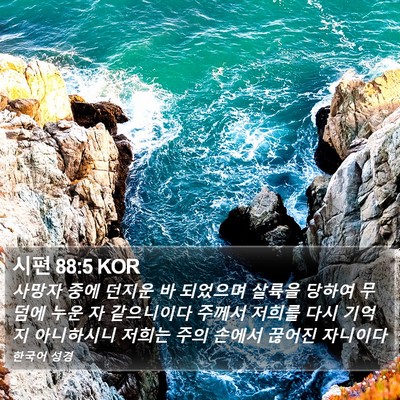 시편 88:5 KOR Bible Verse Image