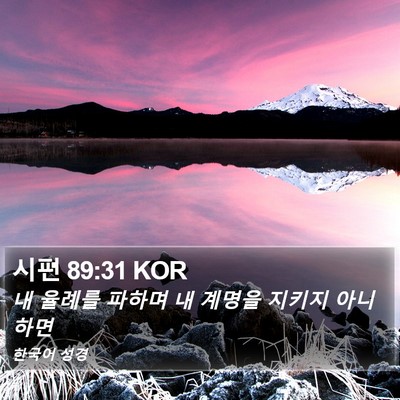 시편 89:31 KOR Bible Verse Image