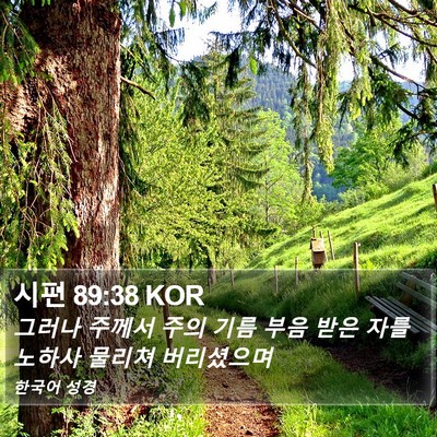 시편 89:38 KOR Bible Verse Image