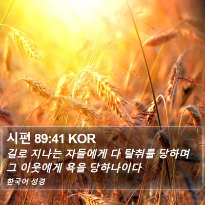 시편 89:41 KOR Bible Verse Image