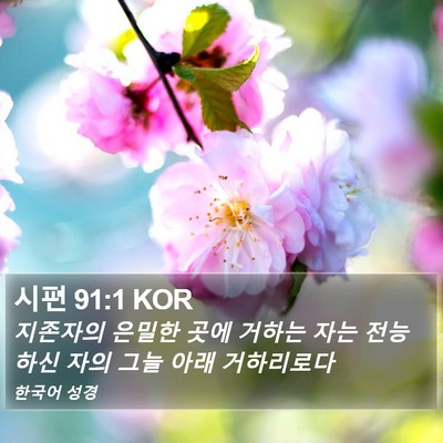 시편 91:1 KOR Bible Verse Image