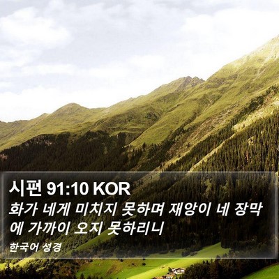 시편 91:10 KOR Bible Verse Image