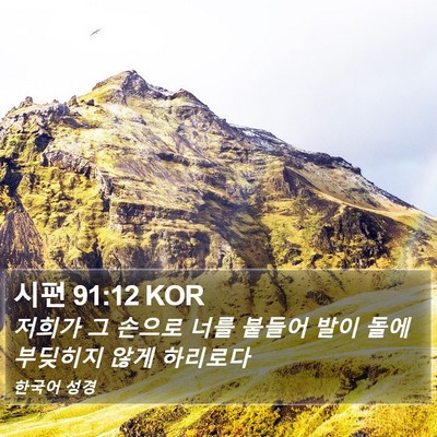 시편 91:12 KOR Bible Verse Image