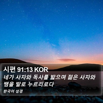시편 91:13 KOR Bible Verse Image