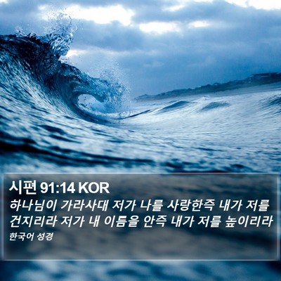시편 91:14 KOR Bible Verse Image