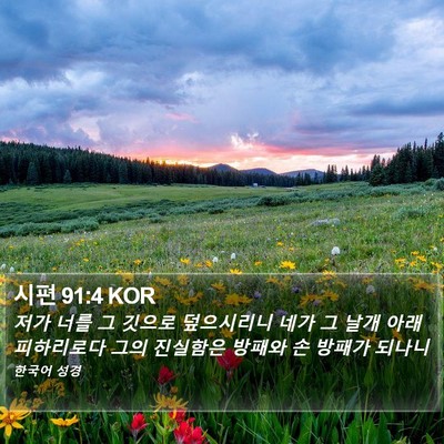 시편 91:4 KOR Bible Verse Image