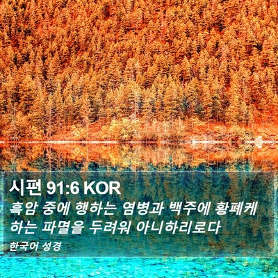 시편 91:6 KOR Bible Verse Image