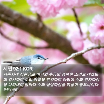 시편 92:1 KOR Bible Verse Image