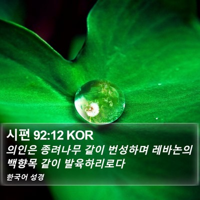 시편 92:12 KOR Bible Verse Image
