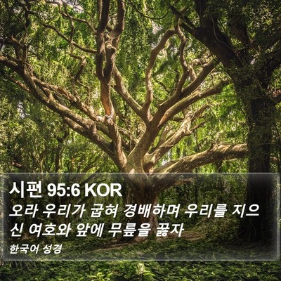 시편 95:6 KOR Bible Verse Image