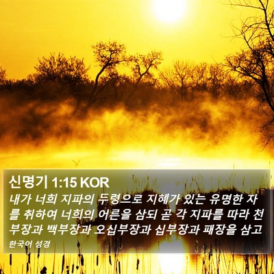 신명기 1:15 KOR Bible Verse Image
