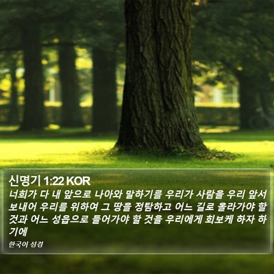 신명기 1:22 KOR Bible Verse Image