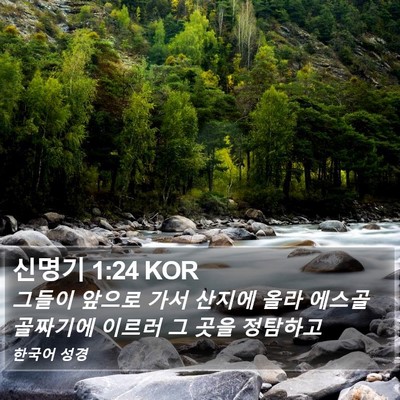 신명기 1:24 KOR Bible Verse Image
