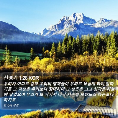 신명기 1:28 KOR Bible Verse Image
